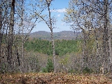 7.9 acres of north Georgia land